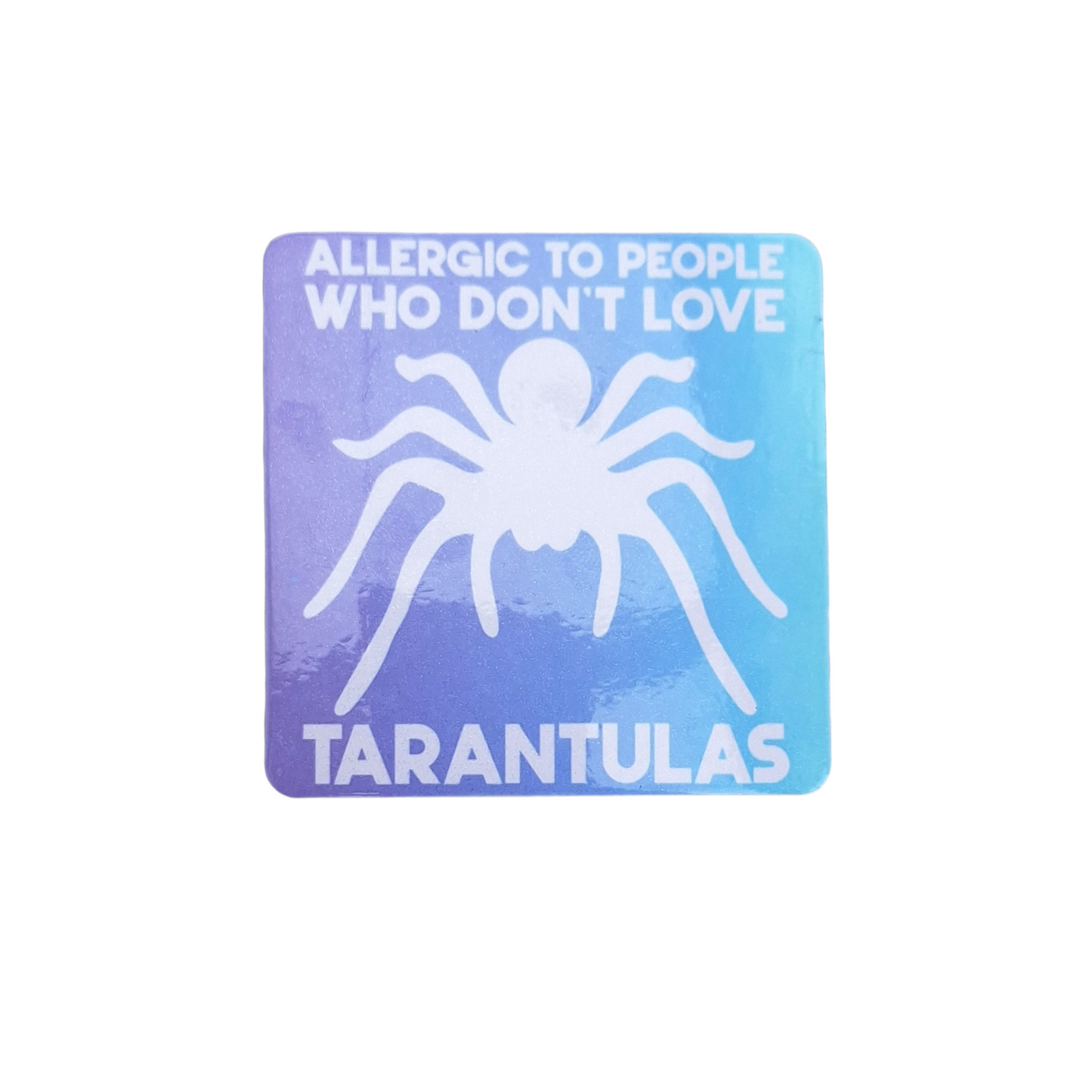 Tarantula Fridge Magnets