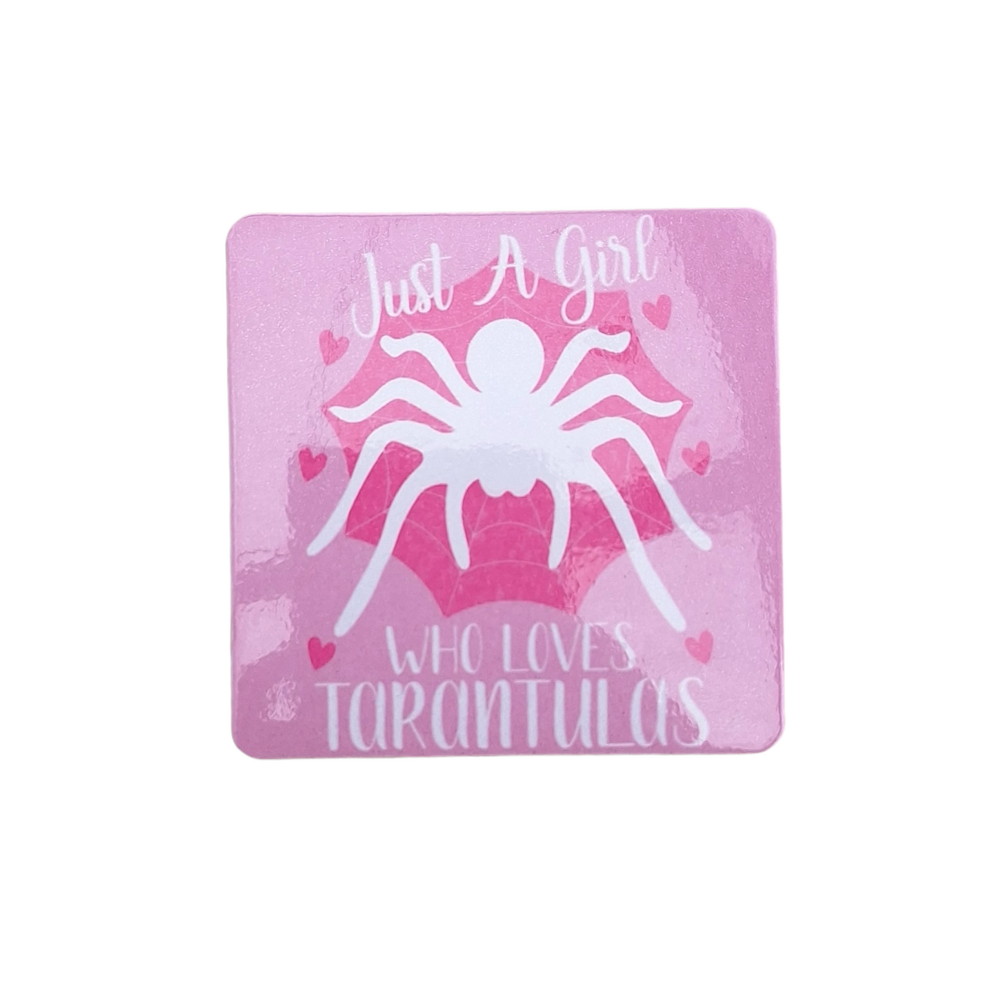 Tarantula Fridge Magnets