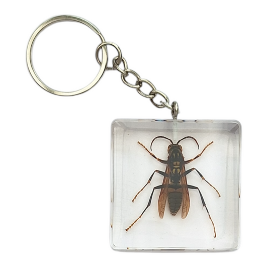 Closed Wing Wasp Resin Keyring