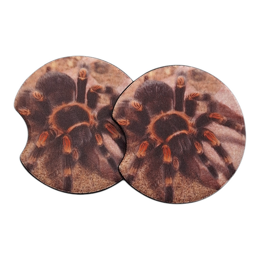 Mexican Red Knee Car Coasters