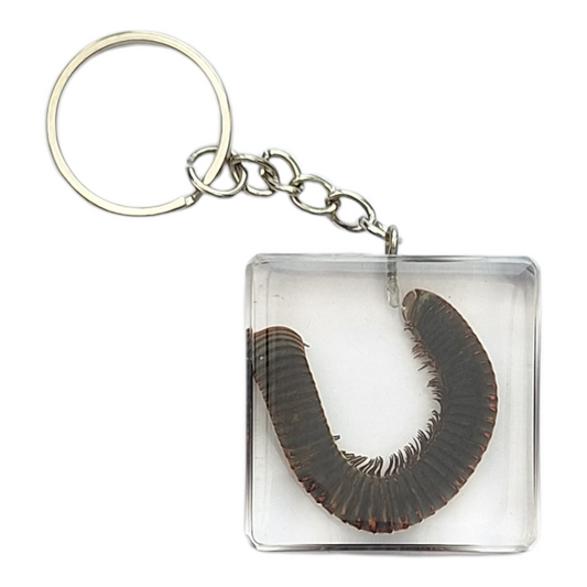 Millipede Resin Keyring