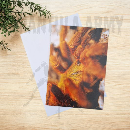 Generic Greeting Card with a close up image of an OBT Tarantula