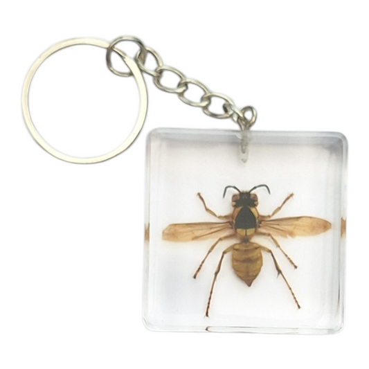 Open Winged Wasp Resin Keyring