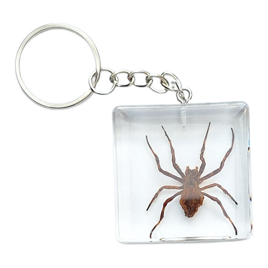 Spider Resin Keyring