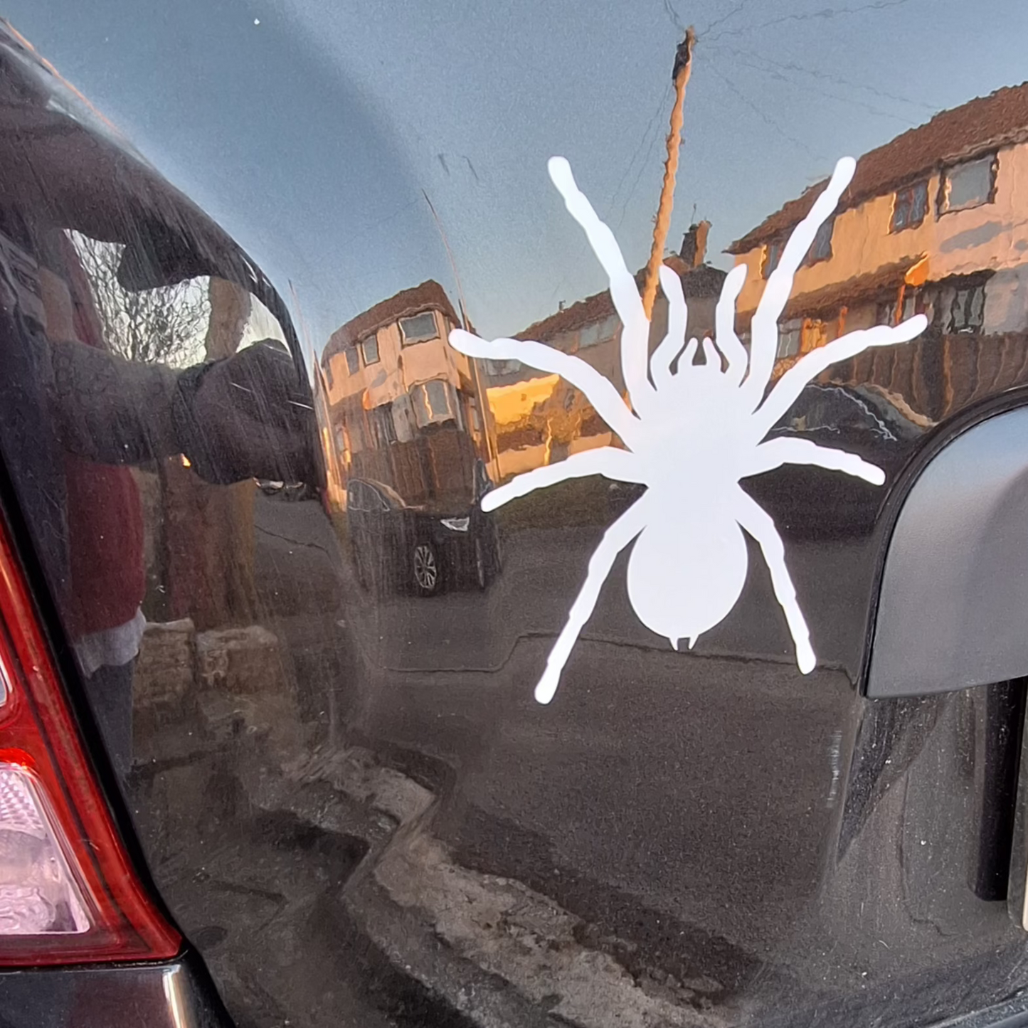 Tarantula Car Decal Vinyl Sticker