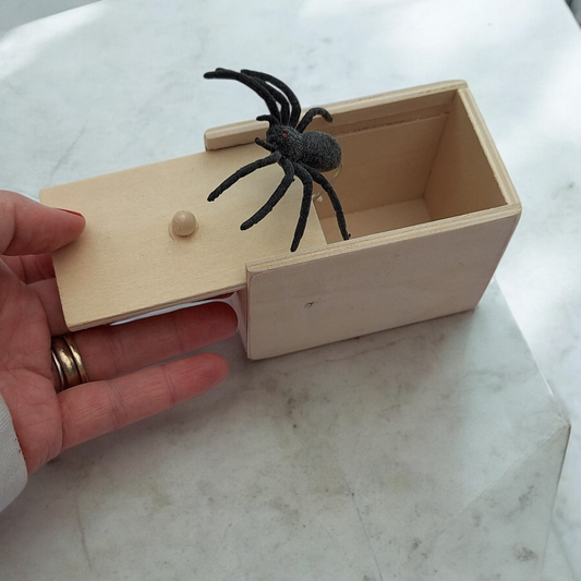 Tarantula Prank Gift Money Box