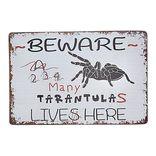 Many Tarantulas Metal Sign