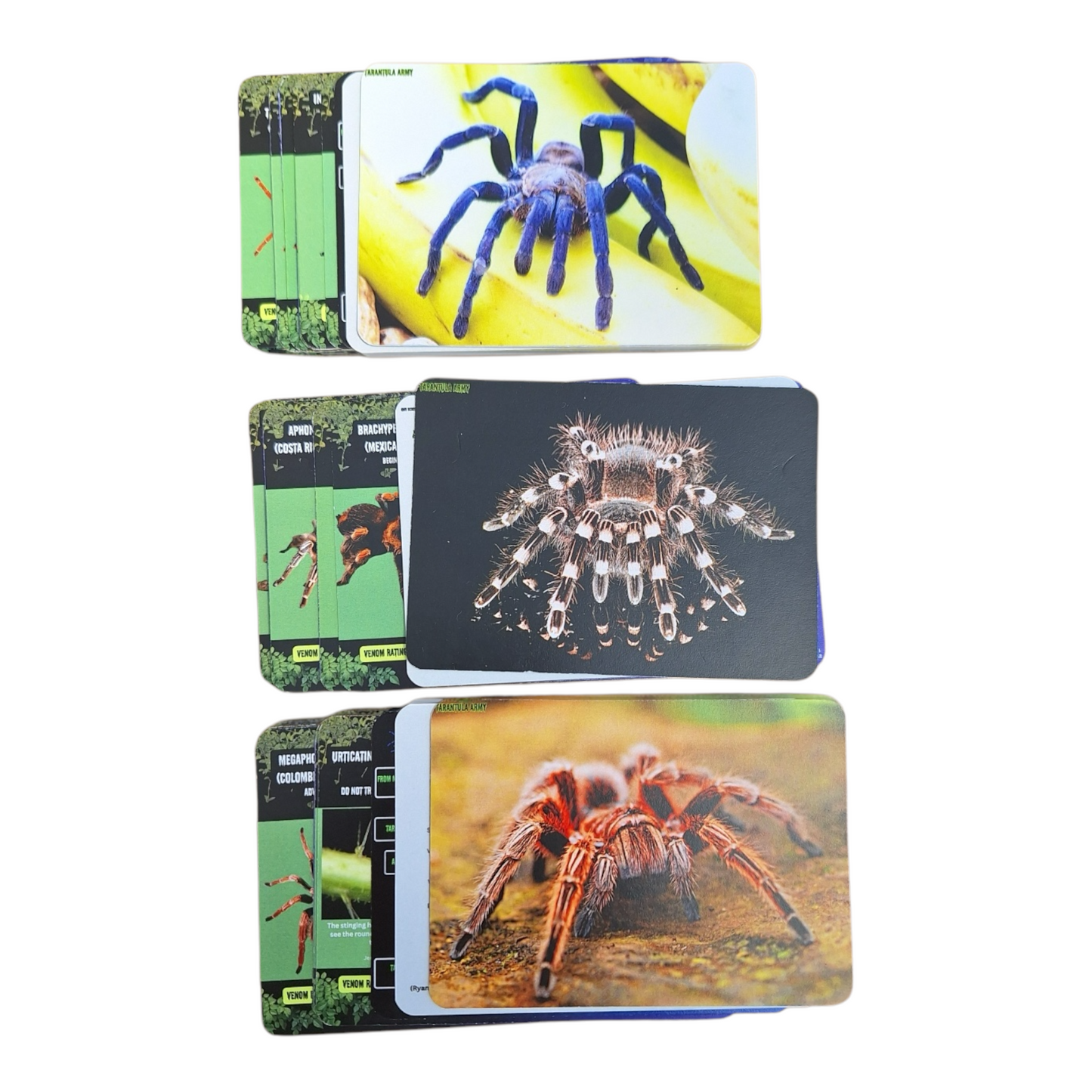 Tarantula Collectible Card Packs